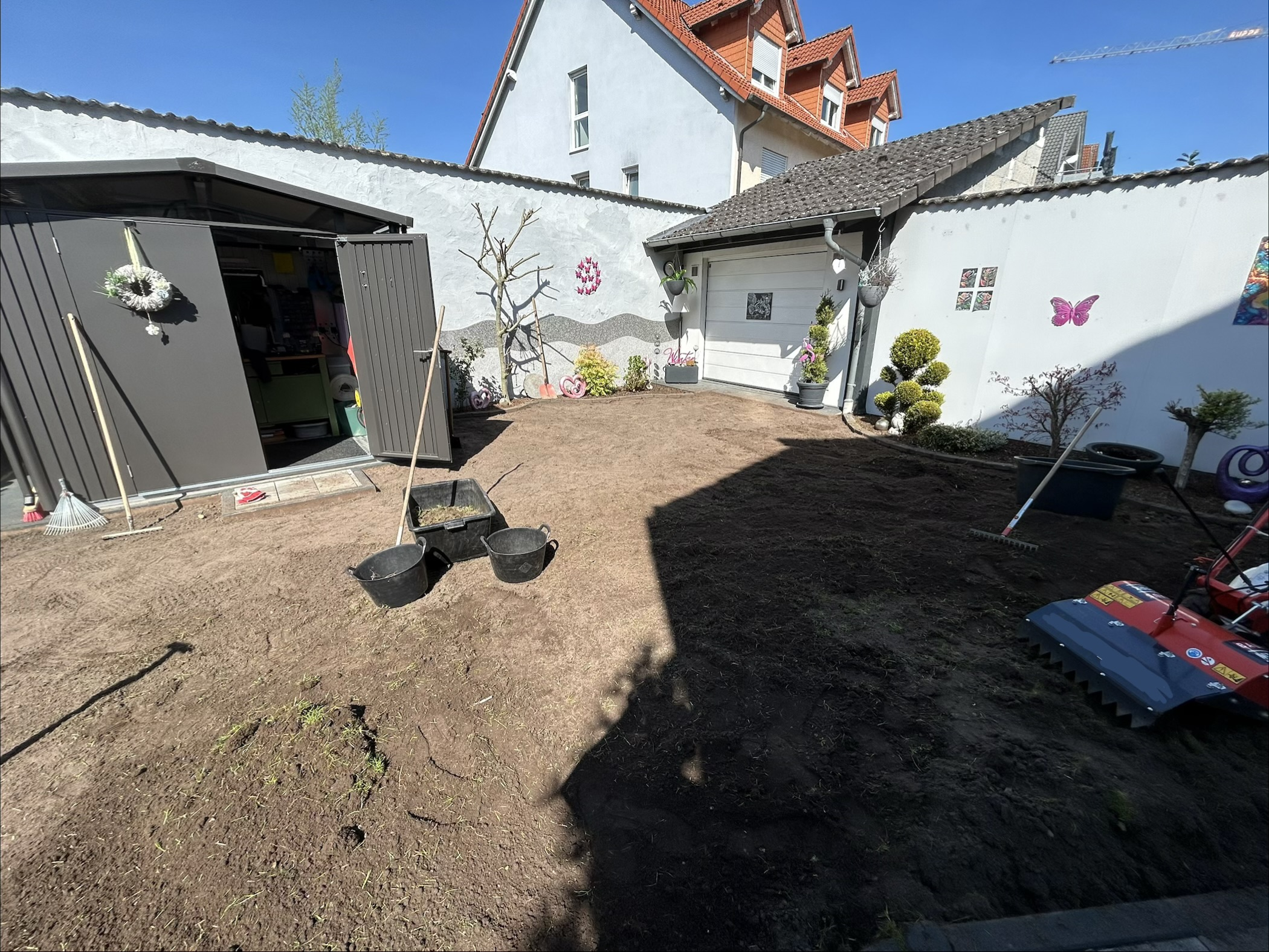 Vorher Rollrasen